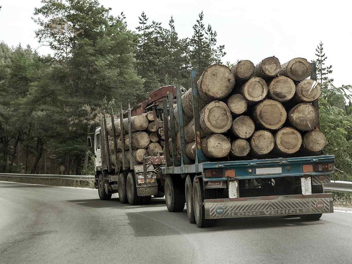 https://katariatransport.in/wp-content/uploads/2017/08/inner_big_trucks_01.jpg