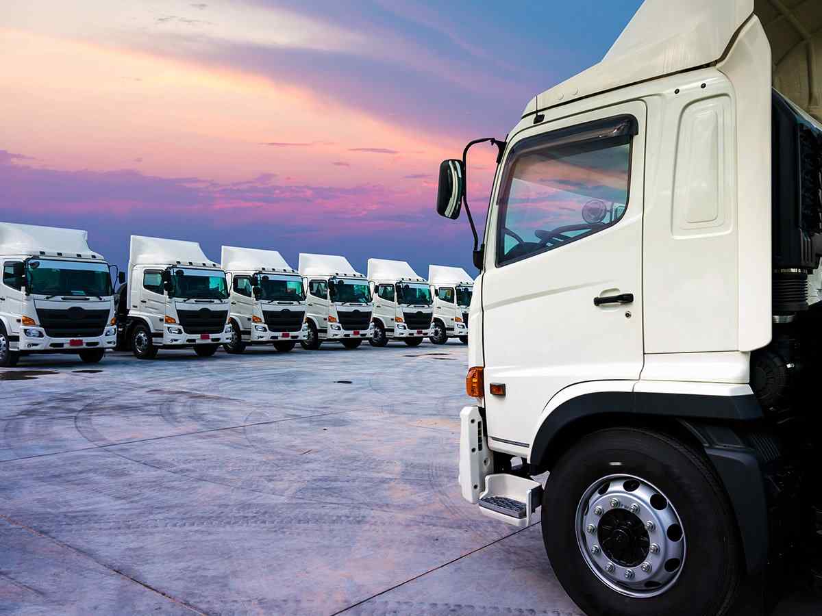 https://katariatransport.in/wp-content/uploads/2017/08/inner_big_trucks_02.jpg
